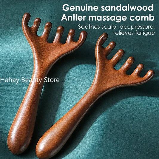 Peigne de Massage Méridien en Bois Anti-Statique à 6 Griffes